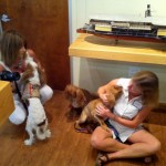 dogpic26 dogpic26