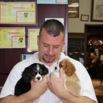 dogpic29 dogpic29