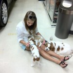 dogpic41 dogpic41
