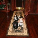 IMG_4512 IMG_4512